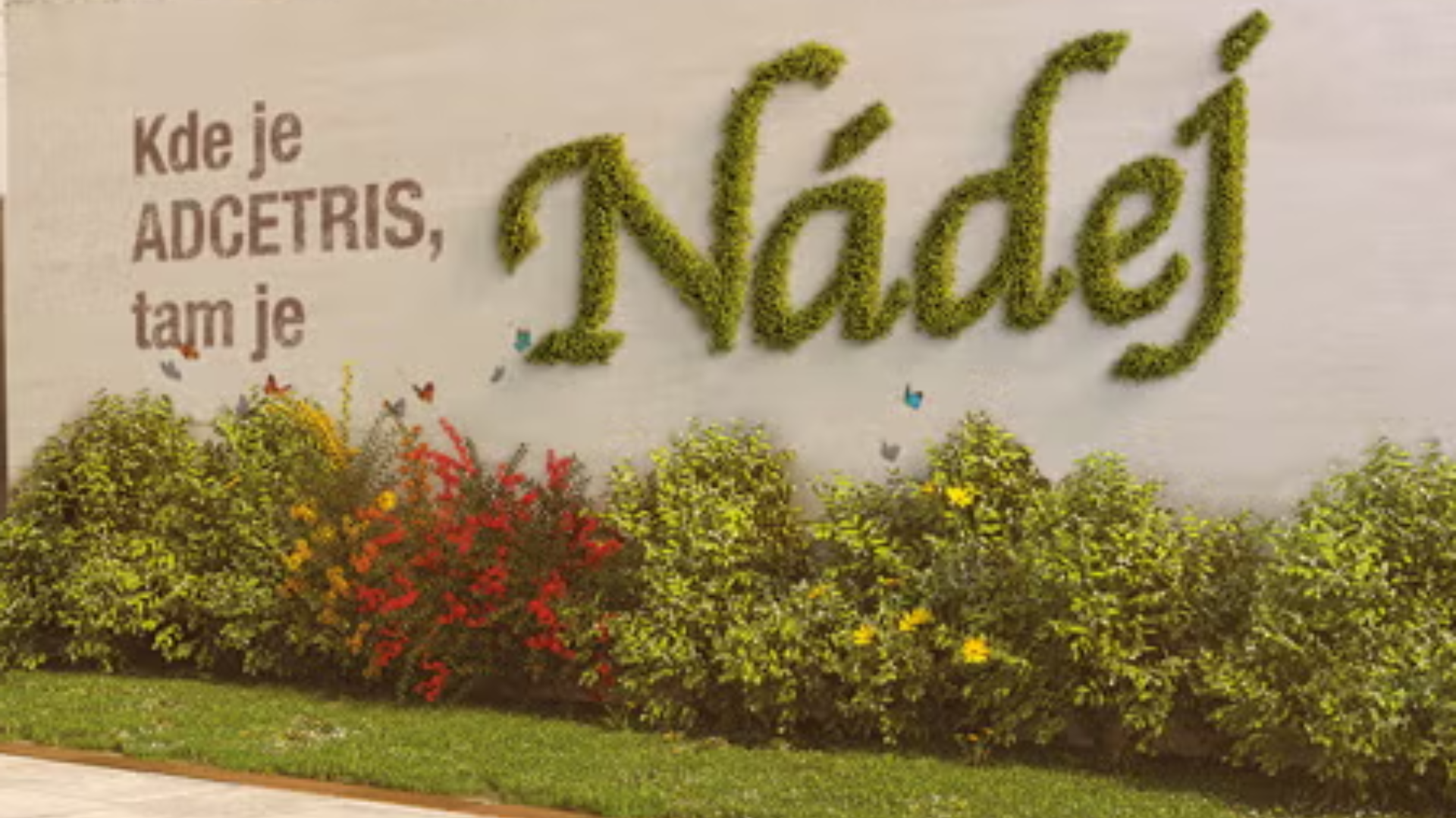 banner